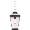 Quoizel Lighting Ravine 1 - Light Pendant in  Western Bronze - 3 of 4