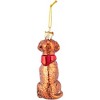 Kurt Adler Noble Gems Glass Ornament for Christmas Tree, Brown Lab Retriever - 3 of 4