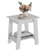 End Table, Side Table with 2-Tier Storage Shelf, Sofa Table for Small Space, Square Nightstand for Entryway, Farmhouse,Easy Assembly - 4 of 4