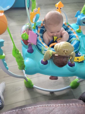 nemo activity bouncer