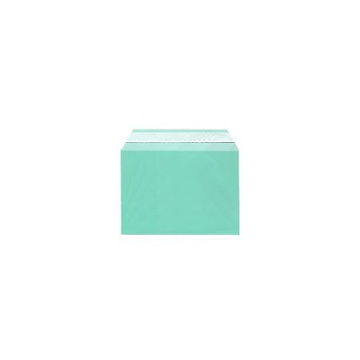 JAM Paper Cello Sleeves with Self-Adhesive Closure 5.0625 x 7.1875 Green 100/Pack (2783135)
