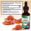 Nature's Answer Reishi Liquid Extract 1000mg, 1 Oz - 3 of 4