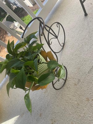 Guest review image 2 of 4, zoom in