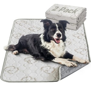 FXW Washable Pee Pads for Dogs, Puppy Pads with Super Absorbent, 2 Pack - 1 of 4