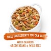 Purina Beneful Prepared Meals Simmered Recipes Wet Dog Food - 10oz - 3 of 4
