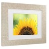 Trademark Fine Art - Beata Czyzowska Young Sunflower 2 Matted Framed Art - 3 of 4