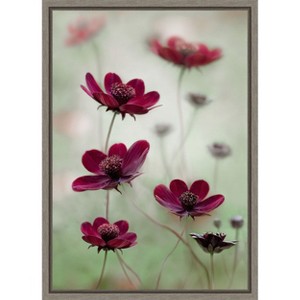 Amanti Art Cosmos sway by Mandy Disher Canvas Wall Art Print Framed 16-in. x 23-in. - 1 of 4