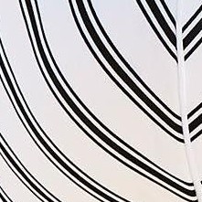 black white stripe