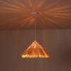C Cattleya Hand-woven Rattan Pendant Light for Indoor Room - 2 of 4