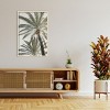 Amanti Art Palm 005 by Pictufy Studio III Wood Framed Wall Art Print - 4 of 4