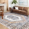 Washable Area Rug Non Slip Rug Vintage Printed Accent Rugs Low Pile Foldable Traditional Rug Oriental Medallion Carpet for Bedroom Living Room - 3 of 4