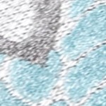 blue/gray