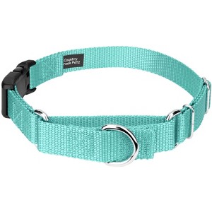 Country Brook Petz Heavy Duty Nylon Martingale Dog Collar with Deluxe Buckle - 30+ Vibrant Color Options - 1 of 4