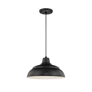 Millennium Lighting R Series 1 - Light Pendant in  Satin Black - 1 of 1