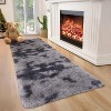 Acekool Ultra Soft Shaggy Rug, Non-Slip Plush Indoor Carpet, Tie-Dye & Solid Colors for Living Room, Bedroom – Multiple Sizes - 3 of 4