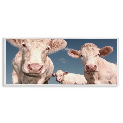 Stupell Industries Three White Cows, 24" x 10"