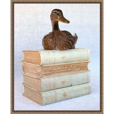 Amanti Art Tania Soderman Books I by Tania Soderman Framed Canvas Wall Art