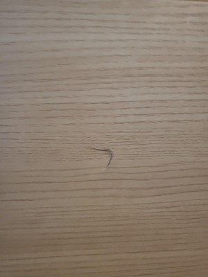 Guest review image 1 of 2, zoom in