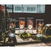 Silver Buffalo Disney Hocus Pocus Sanderson Sisters 10-Ounce Tumbler Glasses | Set of 4 - 3 of 4