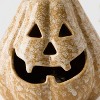 Pumpkin Spirits Taupe - Good Little Garden™ - 2 of 4