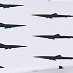 sharks