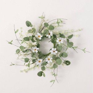 Sullivans Artificial Daisy & Eucalyptus Accent Wreath - 1 of 2