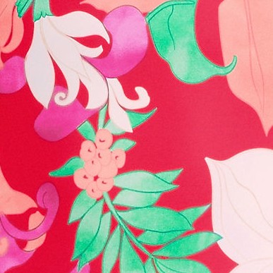 coral rose lilies