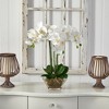Nearly Natural Triple Phalaenopsis Orchid in Glass Vase - 3 of 3