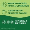 GoGo squeeZ Applesauce and Fruit Puree Variety Pack, Apple & Cinnamon - 3.2oz/20ct - 4 of 4