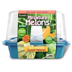 Unique Gardener Miniature Melons - 1 of 1