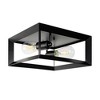 DORESshop 2-Light Black Farmhouse Caged Square Flush Mount Industrial Vintage Ceiling Lighting - 4 of 4