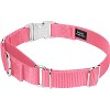 Country Brook Petz Heavyduty Nylon Martingale with Premium Buckle - 2 of 4