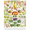 New York Puzzle Company Vegetables ~ Légumes 1000 Piece Puzzle - 3 of 4