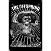 Trends International The Offspring - Jumping Skeleton Unframed Wall Poster Prints - 4 of 4