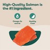 Jinx Pate Salmon, Sweet Potato and Carrot Wet Dog Food - 13oz - 3 of 4