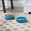 Park Life Designs 2c Classic Water and Food Dog Bowl - Aqua Blue - 4 of 4