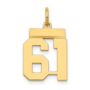 Black Bow Jewelry 14k Yellow Gold, Athletic Collection, Small Polished Number 61 Pendant - 1 of 4