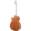 Applause AEO-69 Jump Series OM Acoustic-Electric Guitar - 4 of 4