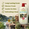 Old Spice Men's Body Wash Timber with Sandalwood - 30 fl oz - 2 of 4