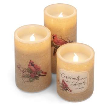 Elanze Designs Cardinals and Angels Red 6 inch Wax LED Flameless Pillar Candles Set of 3