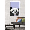 Trends International Snowtap - Panda Photobomb Framed Wall Poster Prints - 2 of 4