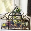 D'Eco Glass Castle Plant Terrarium (10x4.5x9) - Indoor Tabletop & Hanging Black Geometric Planter - Home Garden Office Decor - Gift for Plant Lovers - 3 of 3