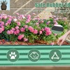 NAYSAYE Galvanized Raised Garden Bed Large Outdoor Metal Planter Box for Vegetables Fruits and Flowers, Green, 70.87"*35.43"*11.81" - 2 of 4