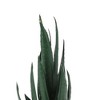 Unique Bargains Artificial Plants Mini Aloe-Vera in Pulp 2.76"x2.76"x5.51" 1 Pc - 4 of 4