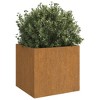 vidaXL - Corten Steel Rectangular Planter 49x49x46cm - Brown Rusty Outdoor Flower Herb Box Essential for Garden Patio Balcony - 3 of 4