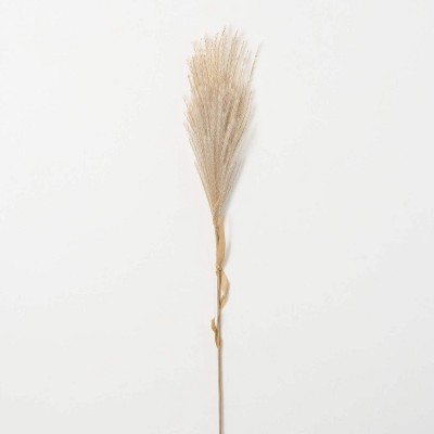 Sullivans Artificial Wheat-Colored Feathery Reed 48"H Off-White