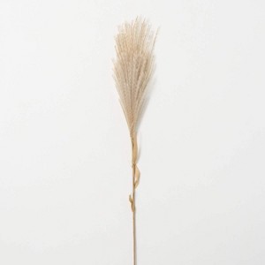 Sullivans Artificial Wheat-Colored Feathery Reed 48"H Off-White - 1 of 4