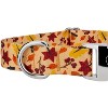 Country Brook Petz Premium Dog Collar - Awesome Autumn Collection - 4 of 4