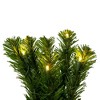 Vickerman Deluxe Sequoia Pine Wreath - 2 of 4