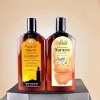 Agadir Argan Oil Daily Moisturizing Shampoo - (12 oz) & Moisturizing Conditioner - (12 oz) duo set - Shine Brighter. Dry Faster - 3 of 4